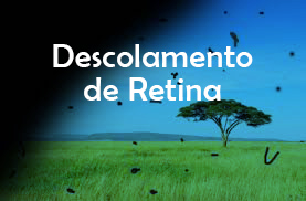 Descolamento de retina: sintomas e tratamento